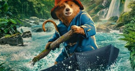 Paddington aventura en la selva