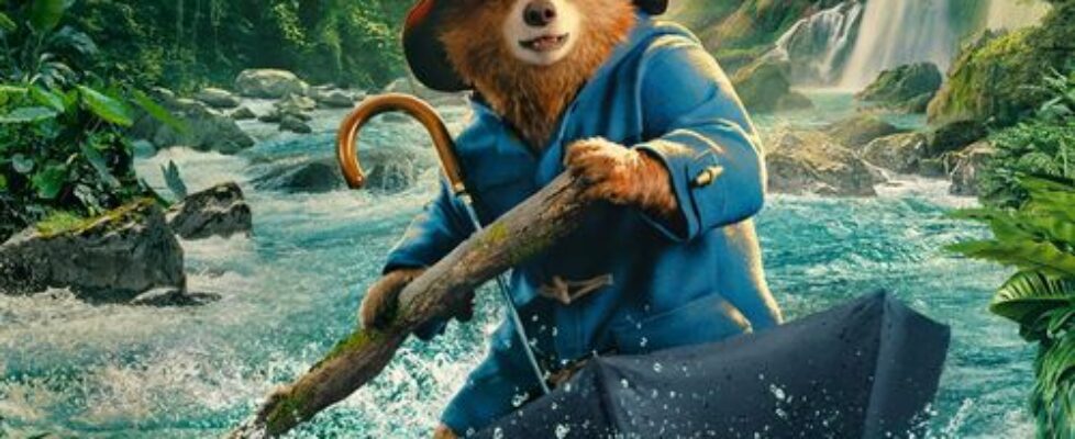 Paddington aventura en la selva