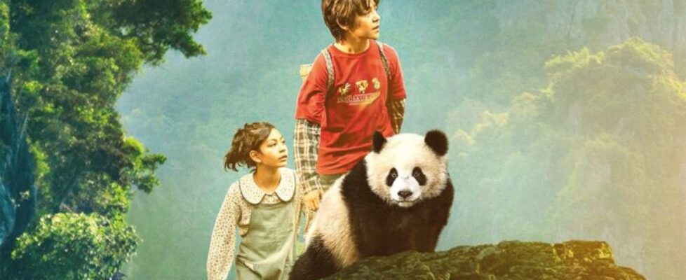 Moon, mi amigo panda